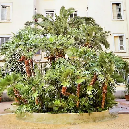 Cola Di Rienzo Flat * Rom